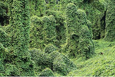 上兵伐谋 国产策略游戏《春秋》试玩Demo新品节上线 