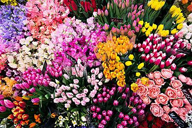 《哥特王朝：重制版》最新预告 发售日日期待定